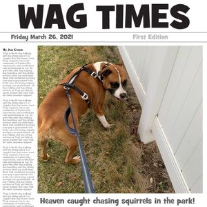 Meet your Posher, Mary